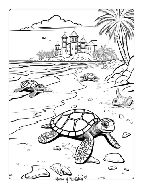 Beach Coloring Page 77