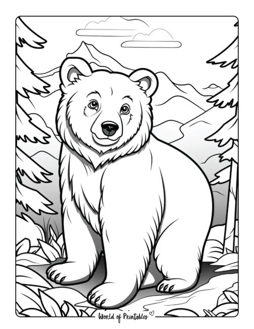 Bear Coloring Page 25
