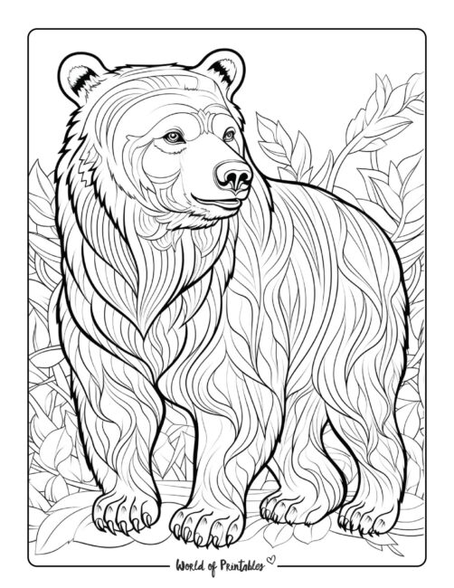 Bear Coloring Page 54