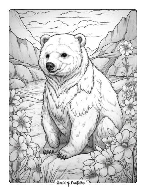 Bear Coloring Page 59