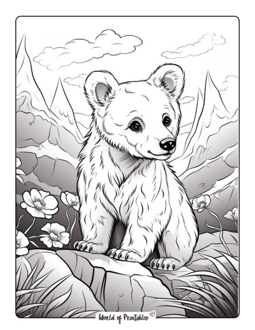 Bear Coloring Page 64