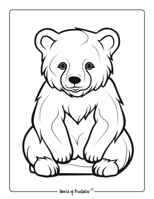 Bear Coloring Page 82