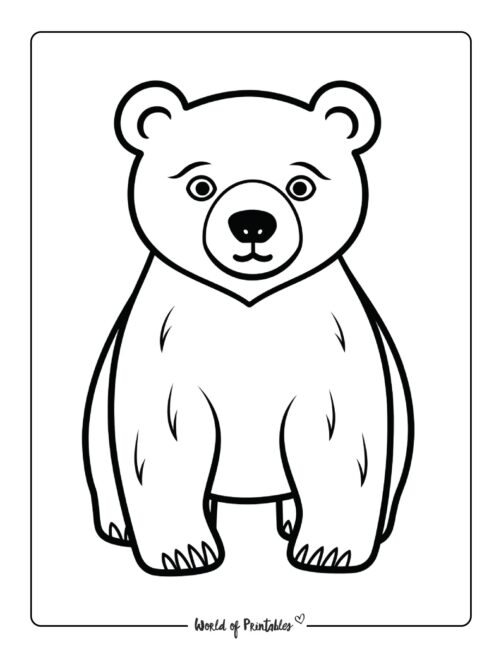Bear Coloring Page 84