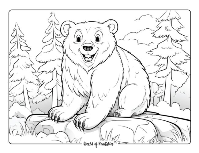 Bear Coloring Sheet 38