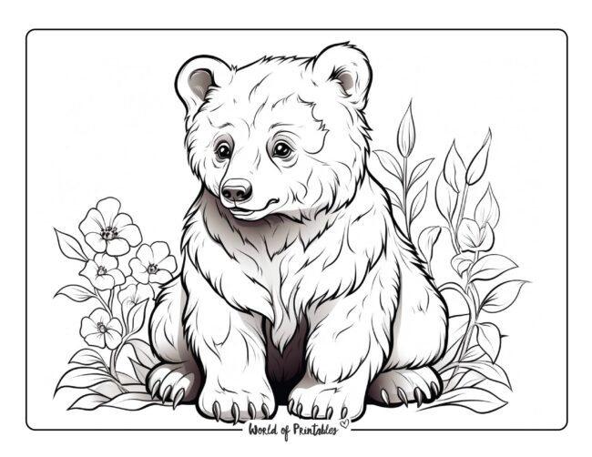 Beautiful Bear Coloring Sheet