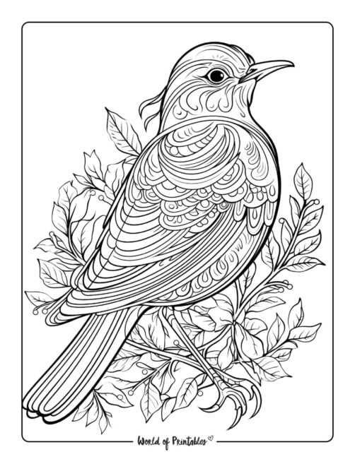Bird Coloring Page 107