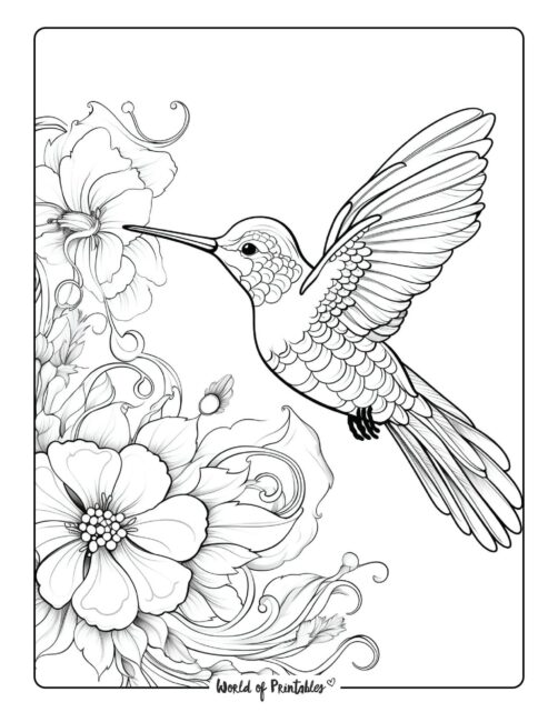 Bird Coloring Page 118
