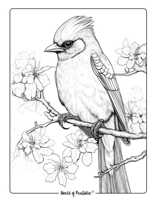 Bird Coloring Page 121