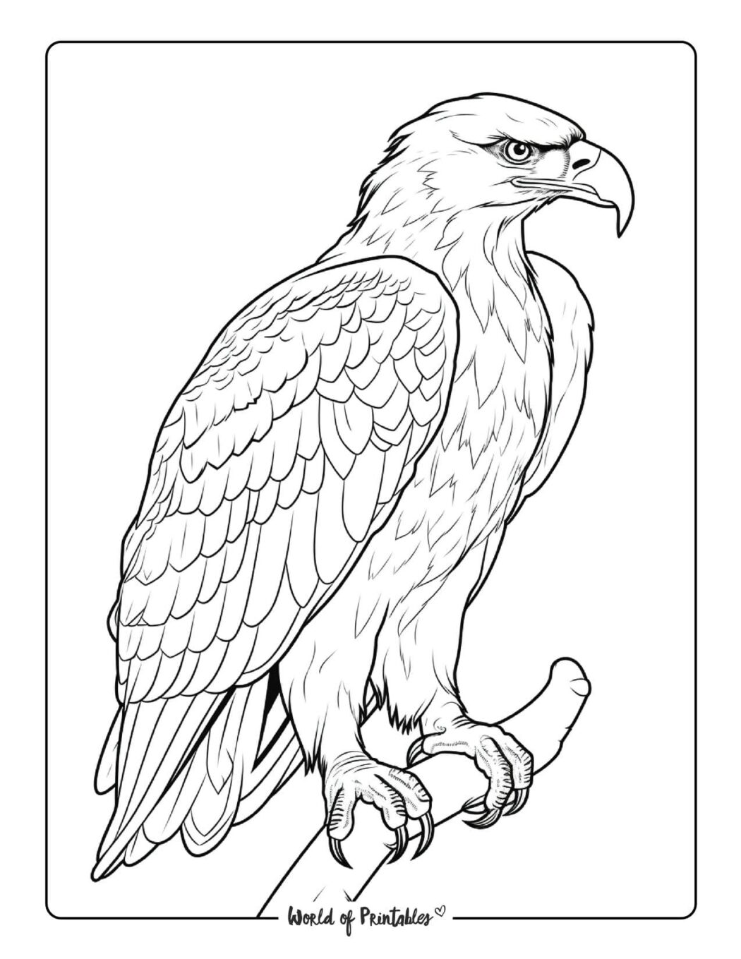 Bird Coloring Pages - World of Printables