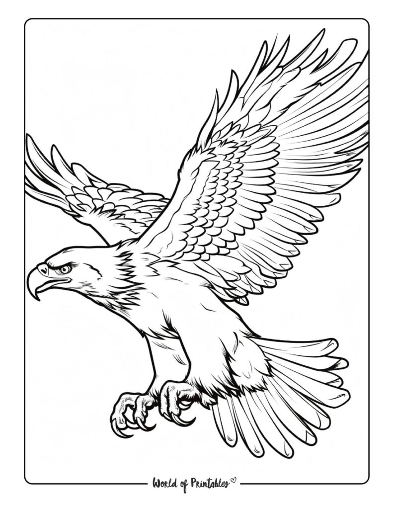  Bird Coloring Pages - World of Printables Illustration 