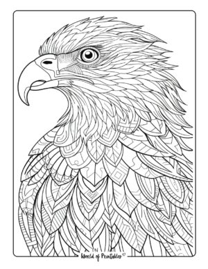 Bird Coloring Pages - World of Printables