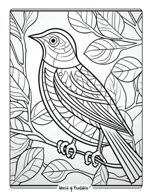 Bird Coloring Page 17