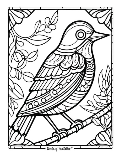 Bird Coloring Page 18