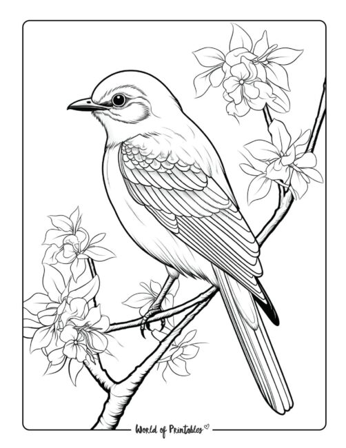 Bird Coloring Page 83