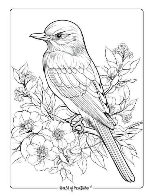 Bird Coloring Page 84