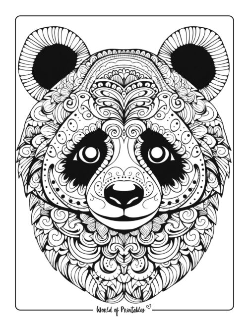 Detailed Panda Coloring Page