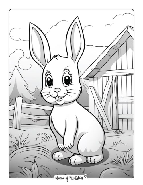 Farm Bunny Coloring Page