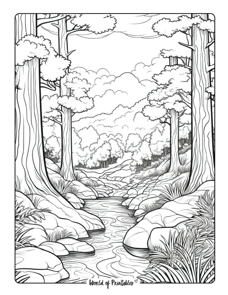 Forest Coloring Pages World of - Forest Coloring Page 3 791x1024