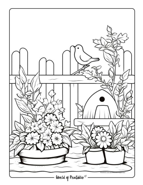 Garden Coloring Page 19