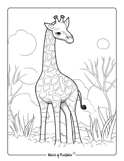 Giraffe Coloring Page 107