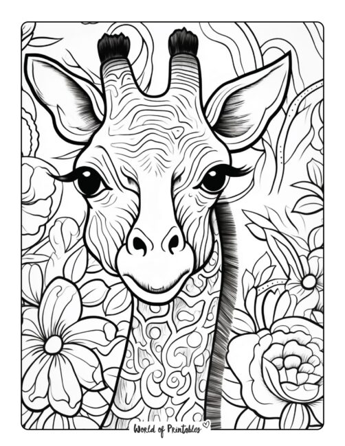 Giraffe Coloring Page 11