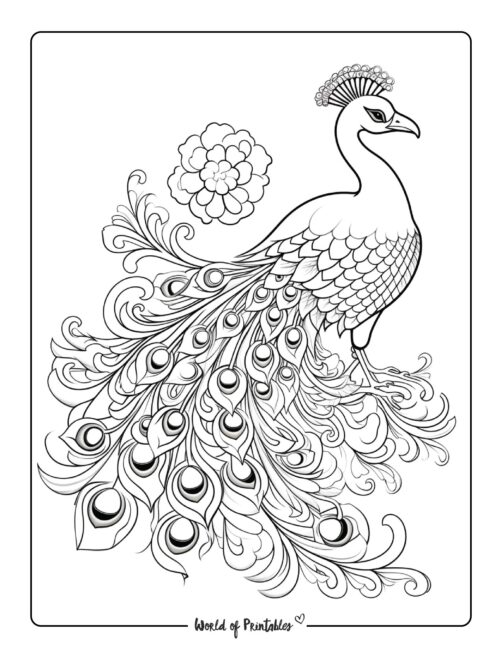 Incredible Coloring Page for Adults