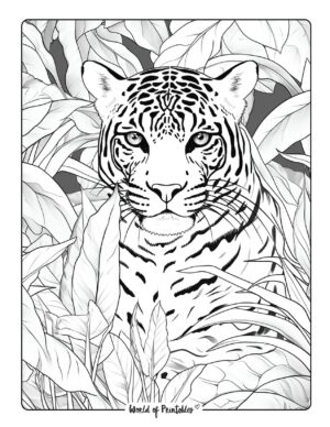 Jungle Coloring Pages - World of Printables