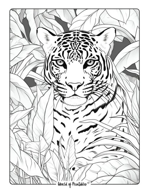Jungle Coloring Page 36