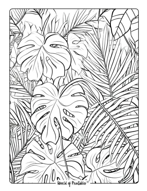 Jungle Coloring Page 37