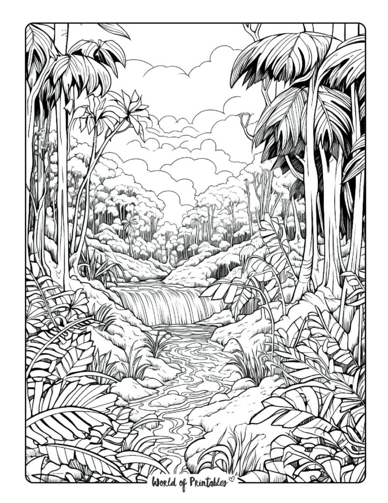 Jungle Coloring Pages - World of Printables