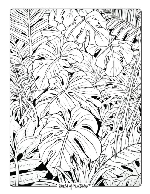 Jungle Coloring Page 41