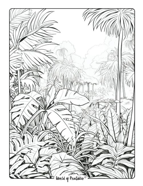 Jungle Coloring Page 45