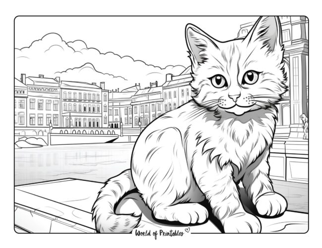 Kitten Sitting on a Wall Coloring Page