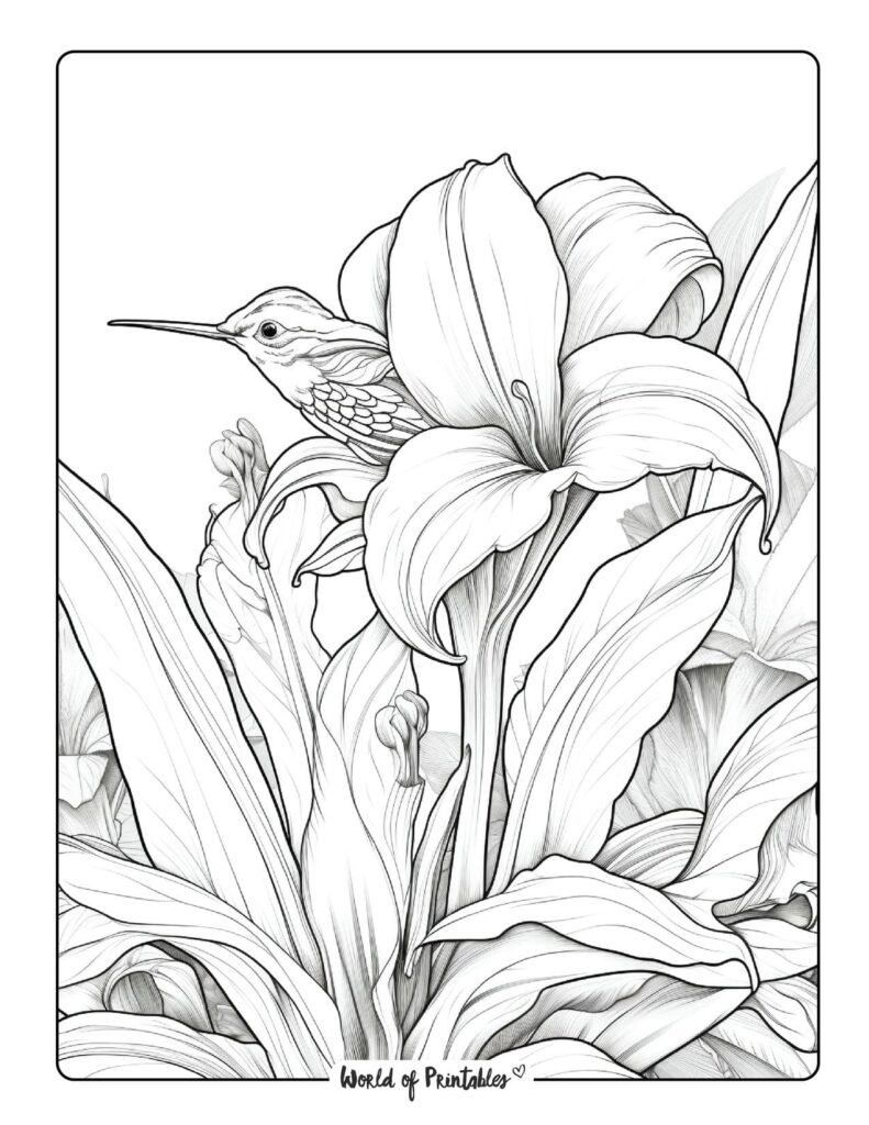 Landscape Coloring Pages World of Printables Landscape Coloring Pages World of Printables