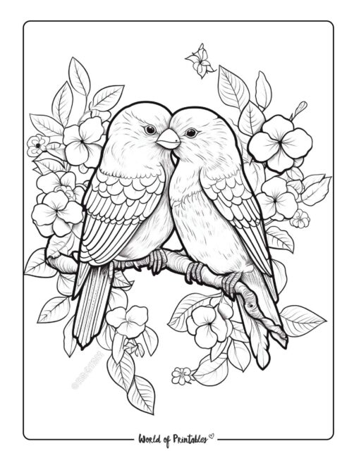 Love Coloring Page 62