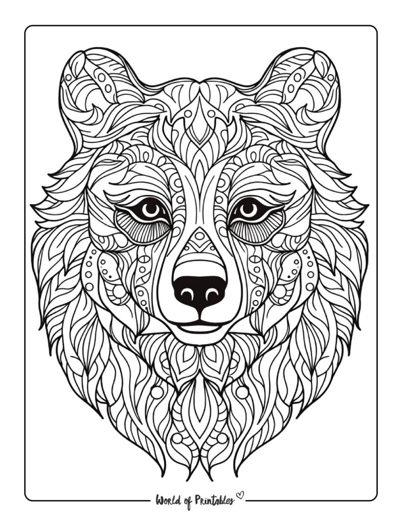 Bear Coloring Pages For Kids & Adults - World of Printables