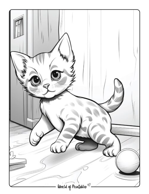 Mischievous Kitten Playing with a Ball Coloring Sheet