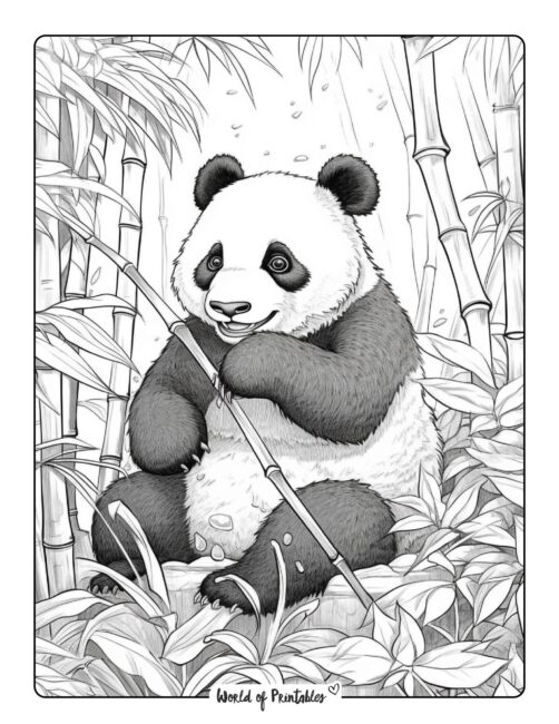 Panda Coloring Page 23