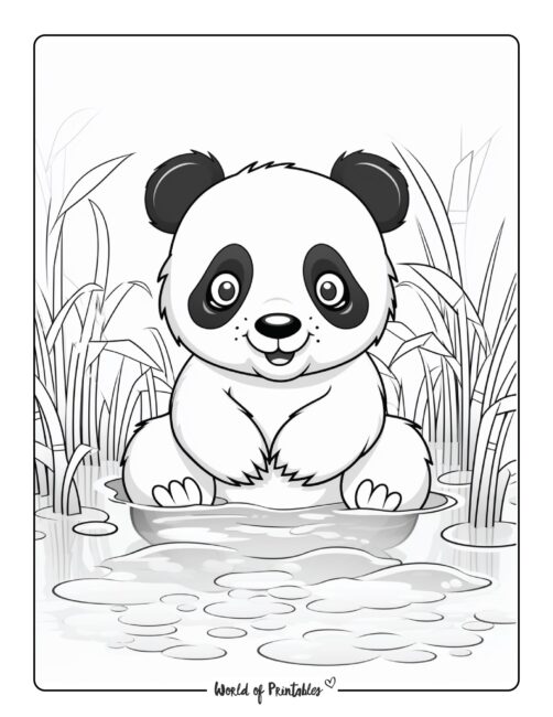 Panda Coloring Page 31