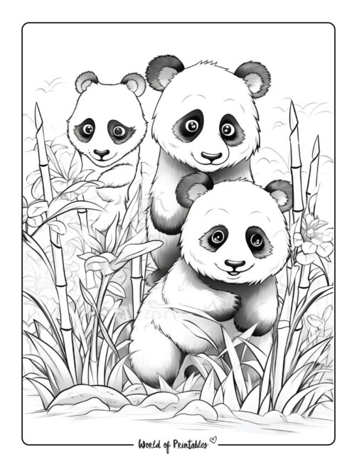 Panda Coloring Page 35