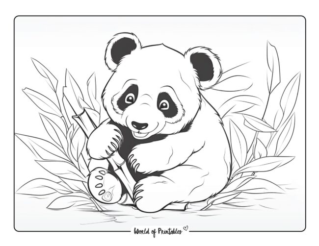 Panda Coloring Sheet 27