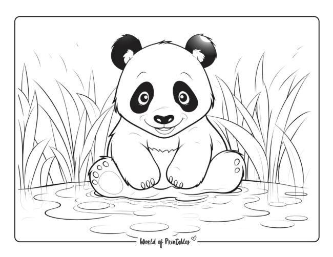 Panda Coloring Sheet 31