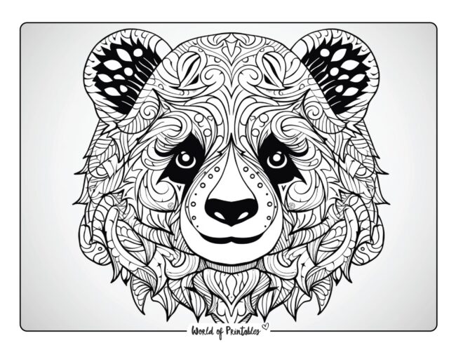 Panda Coloring Sheet 48