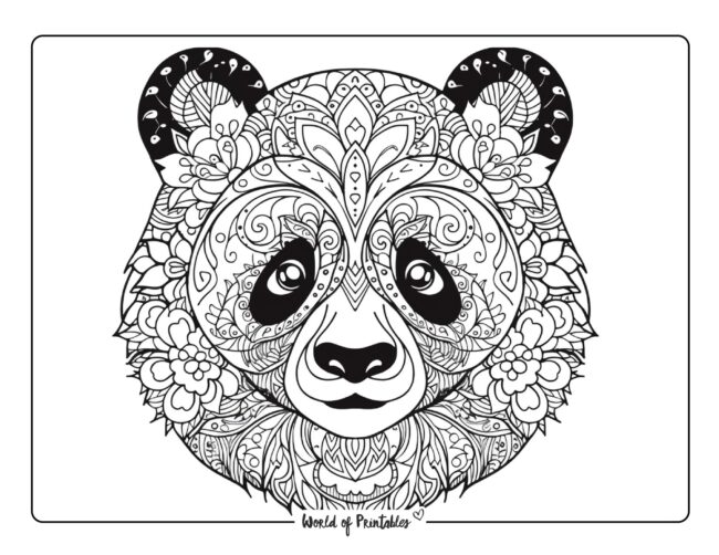 Panda Coloring Sheet 51