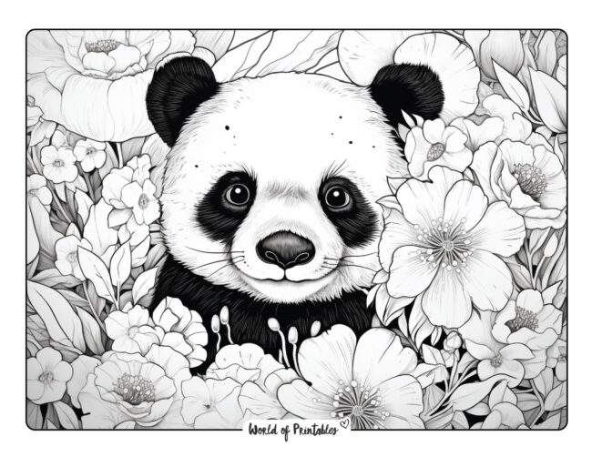 Panda Peeking Through Flowers Coloring Sheet