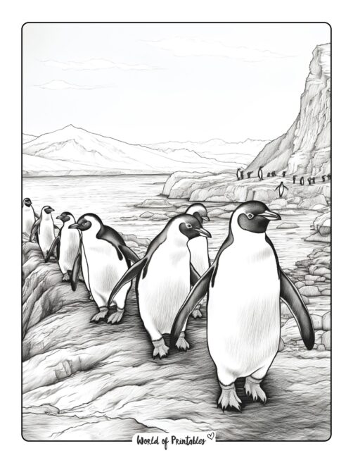 Penguin Coloring Page 12