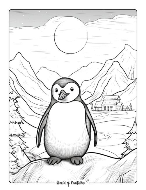 Penguin Coloring Page 30
