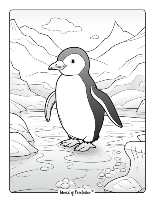 Penguin Coloring Page 48