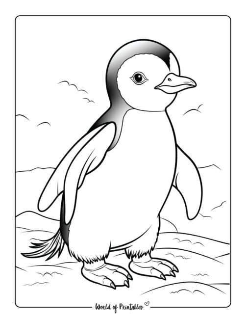 Penguin Coloring Page 57