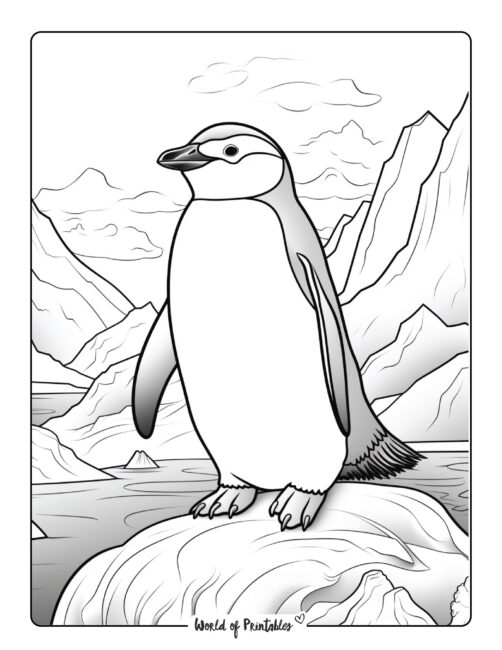 Penguin Coloring Page 61